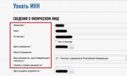 Проверяй прежде, чем доверять: как провести поиск компании по ИНН в Узбекистане