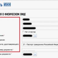 Проверяй прежде, чем доверять: как провести поиск компании по ИНН в Узбекистане